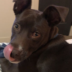 Meet your Posher, Ali